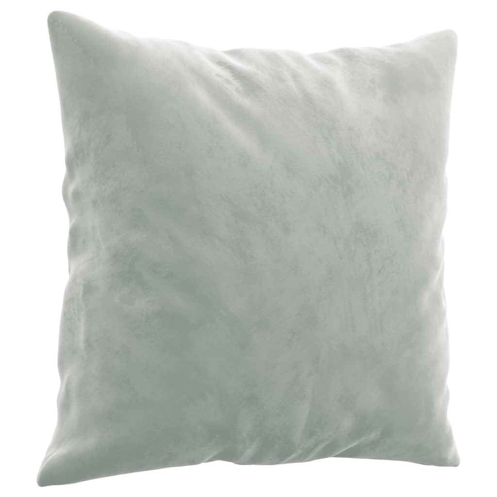 Light Gray Velvet 2 Piece Sofa Set V804012