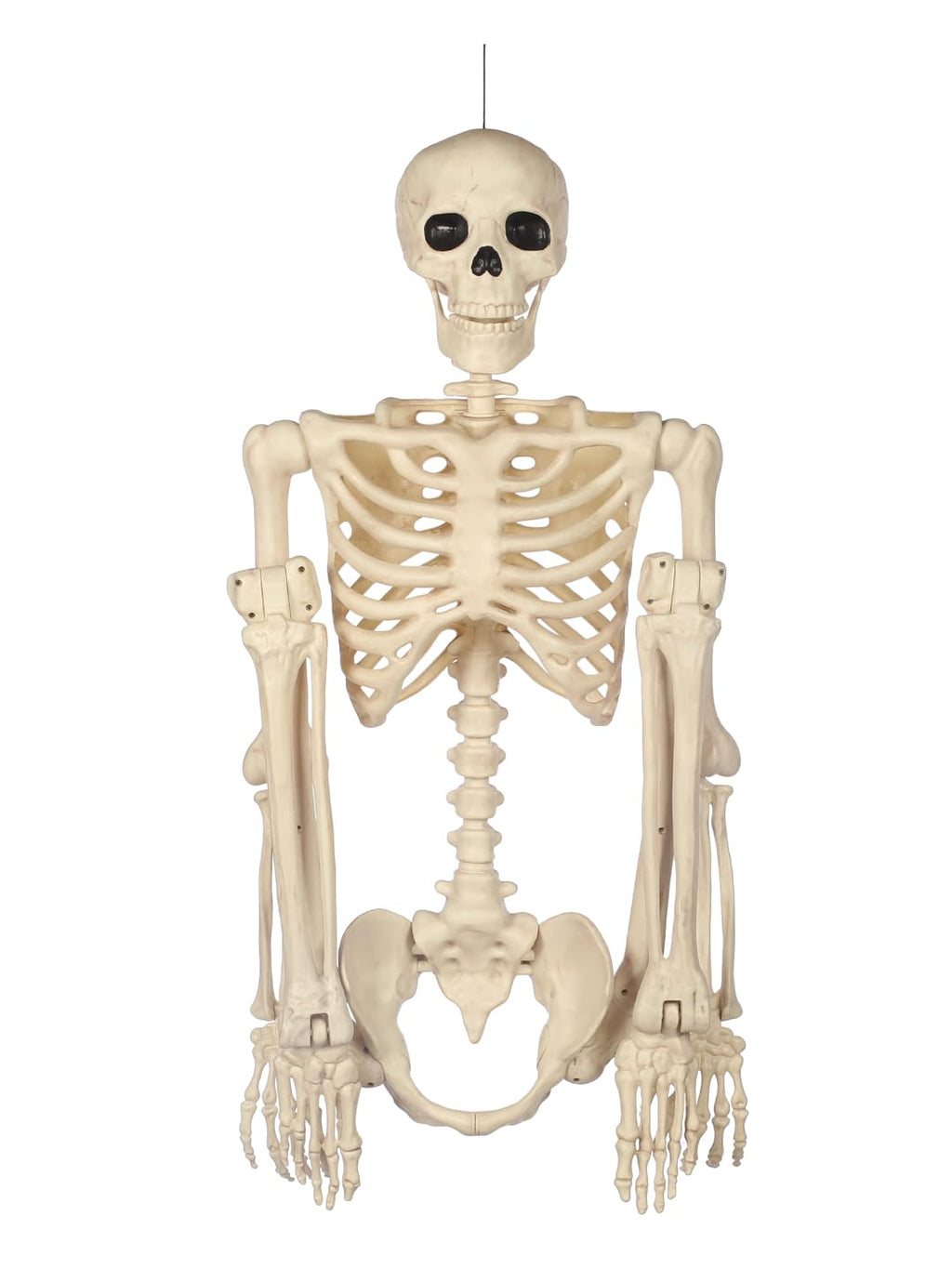 5FT Life Size Posable Skeleton Z1134