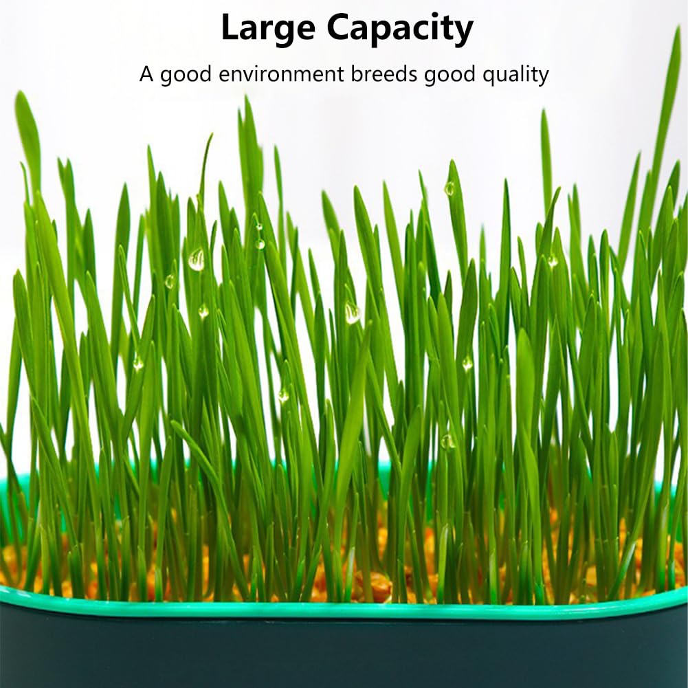 Cat Grass Planter, Hydroponic Trays, Soil-Free Planter (3PCS) Q723248