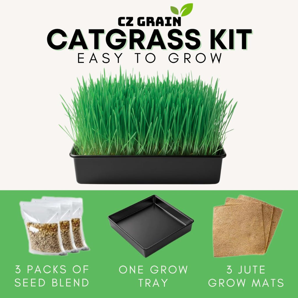 Cat Grass Growing Kit with Organic Seed U34709