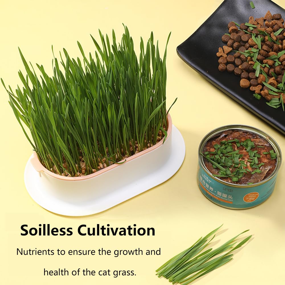 Cat Grass Planter, Hydroponic Trays, Soil-Free Planter (3PCS) Q723248