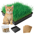 Cat Grass Growing Kit with Organic Seed U34709