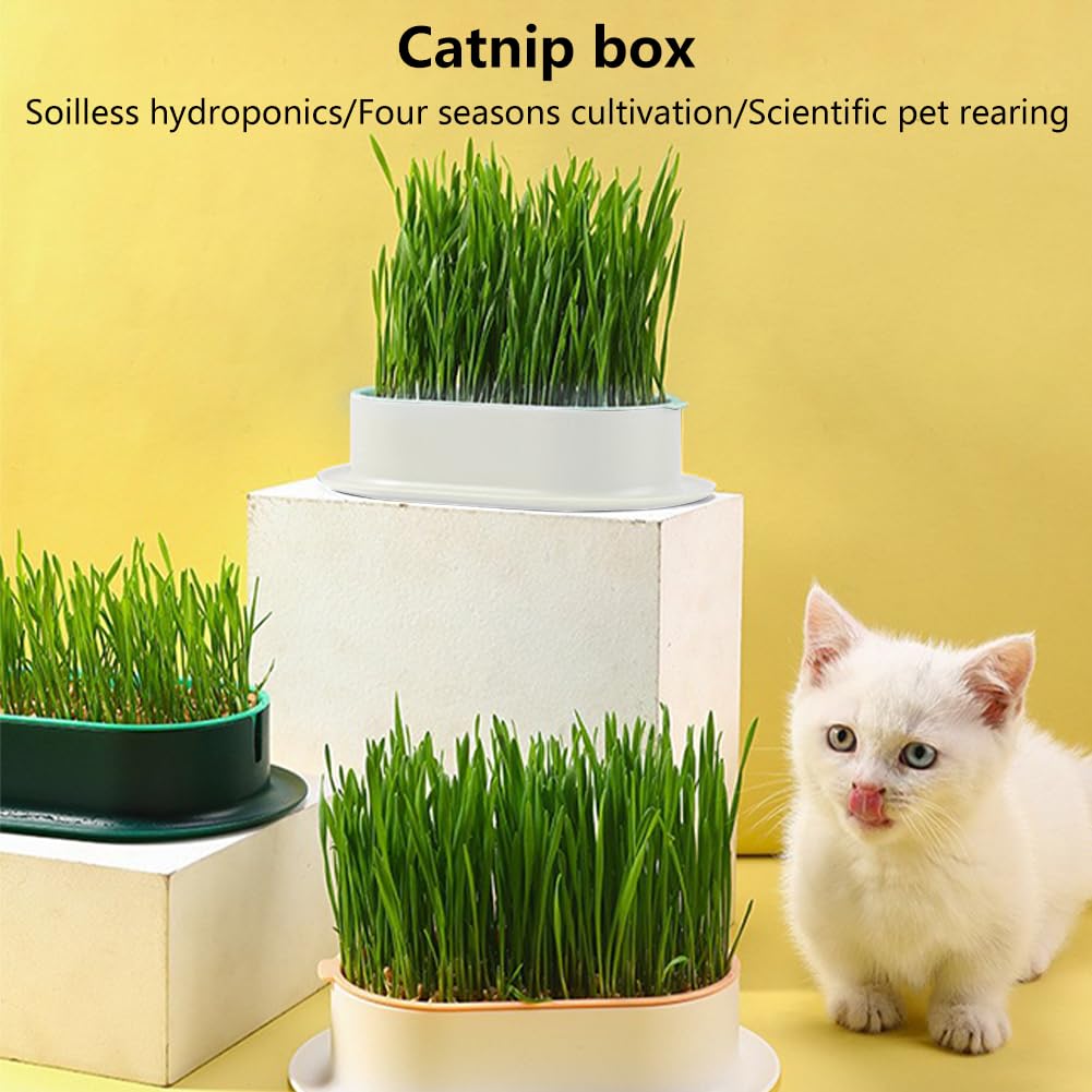 Cat Grass Planter, Hydroponic Trays, Soil-Free Planter (3PCS) Q723248