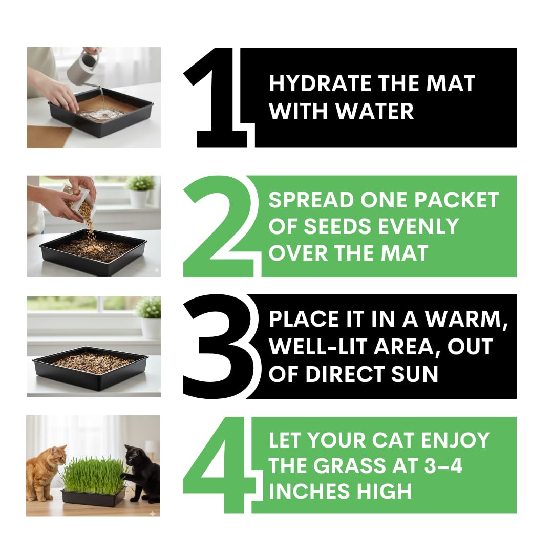 Cat Grass Growing Kit with Organic Seed U34709