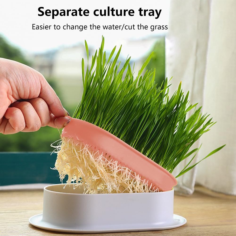 Cat Grass Planter, Hydroponic Trays, Soil-Free Planter (3PCS) Q723248