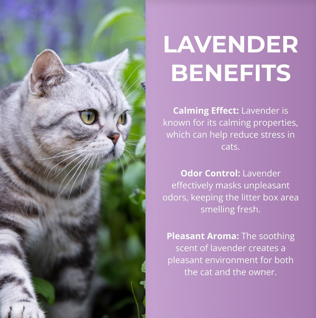 Lavender Scented Diatomaceous Earth 8.8 lb E710342