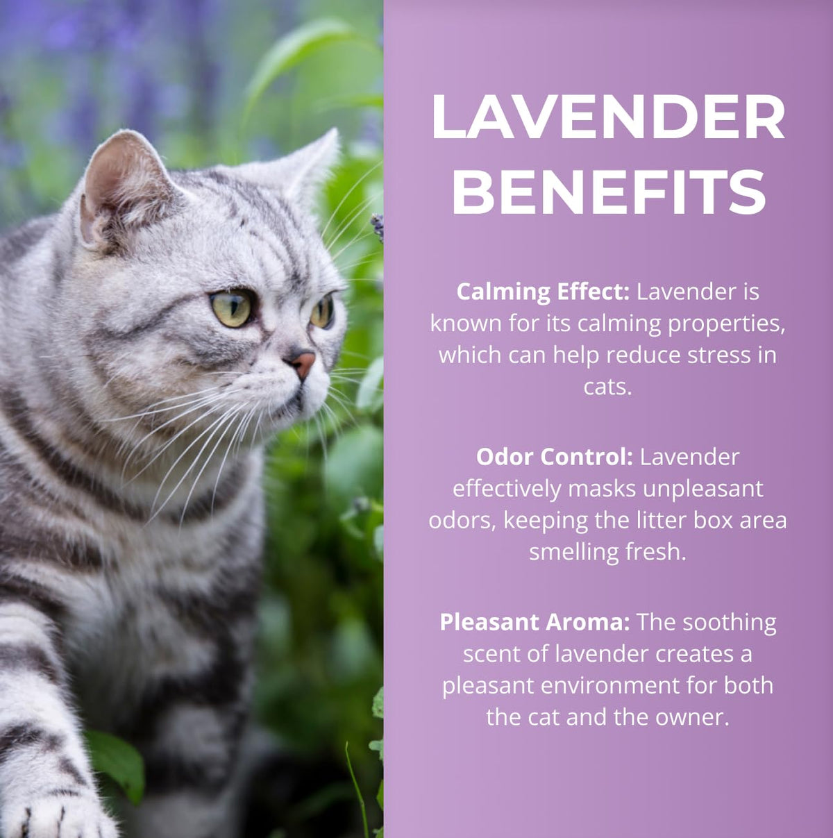 Lavender Scented Diatomaceous Earth 8.8 lb E710342