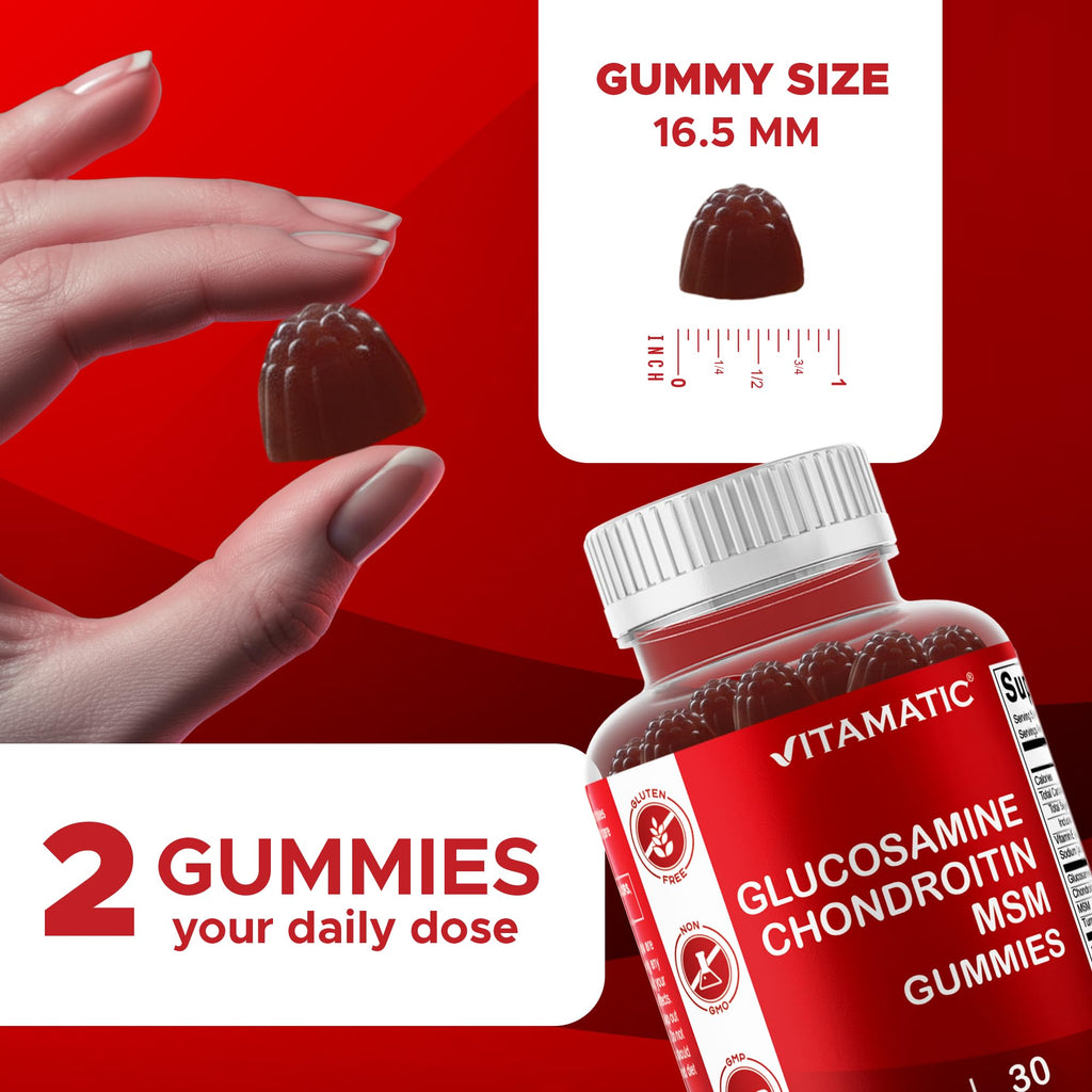 Glucosamine Chondroitin with MSM 60 Gummies 2 Pack Y315962