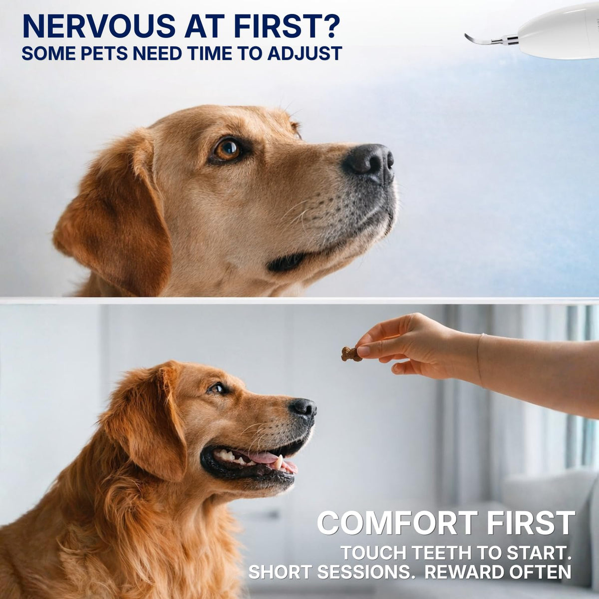 Ultrasonic Pet Dental Cleaner with 4 Tips and 3 Modes S9268