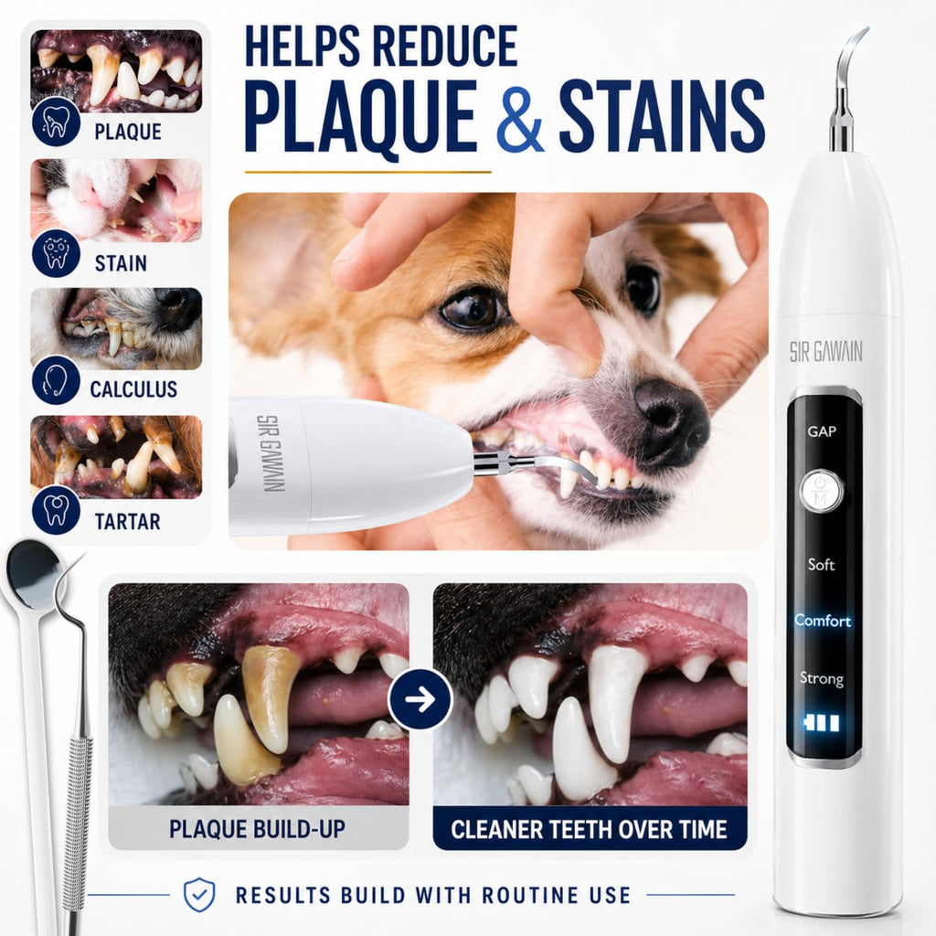Ultrasonic Pet Dental Cleaner with 4 Tips and 3 Modes S9268