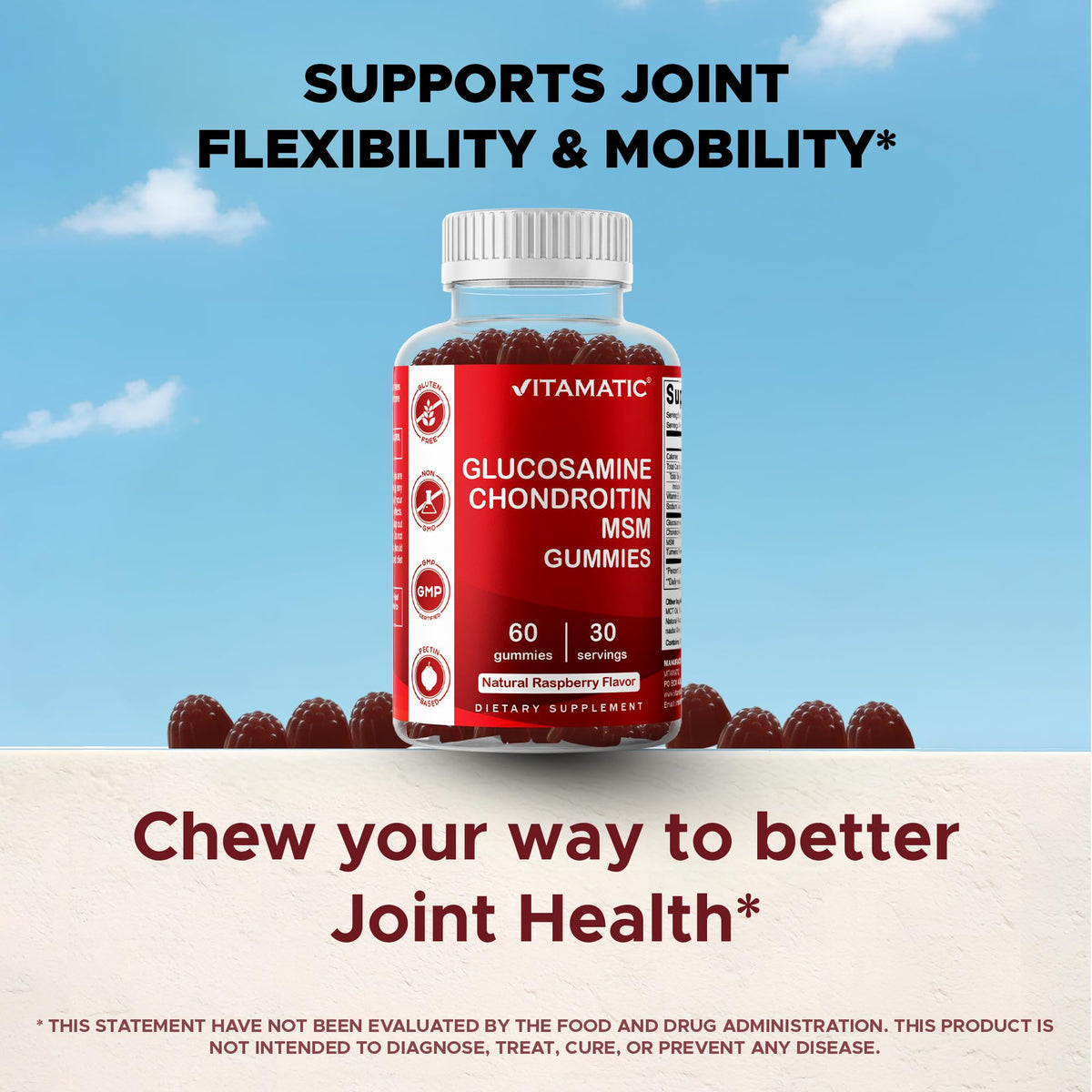 Glucosamine Chondroitin with MSM 60 Gummies 2 Pack Y315962