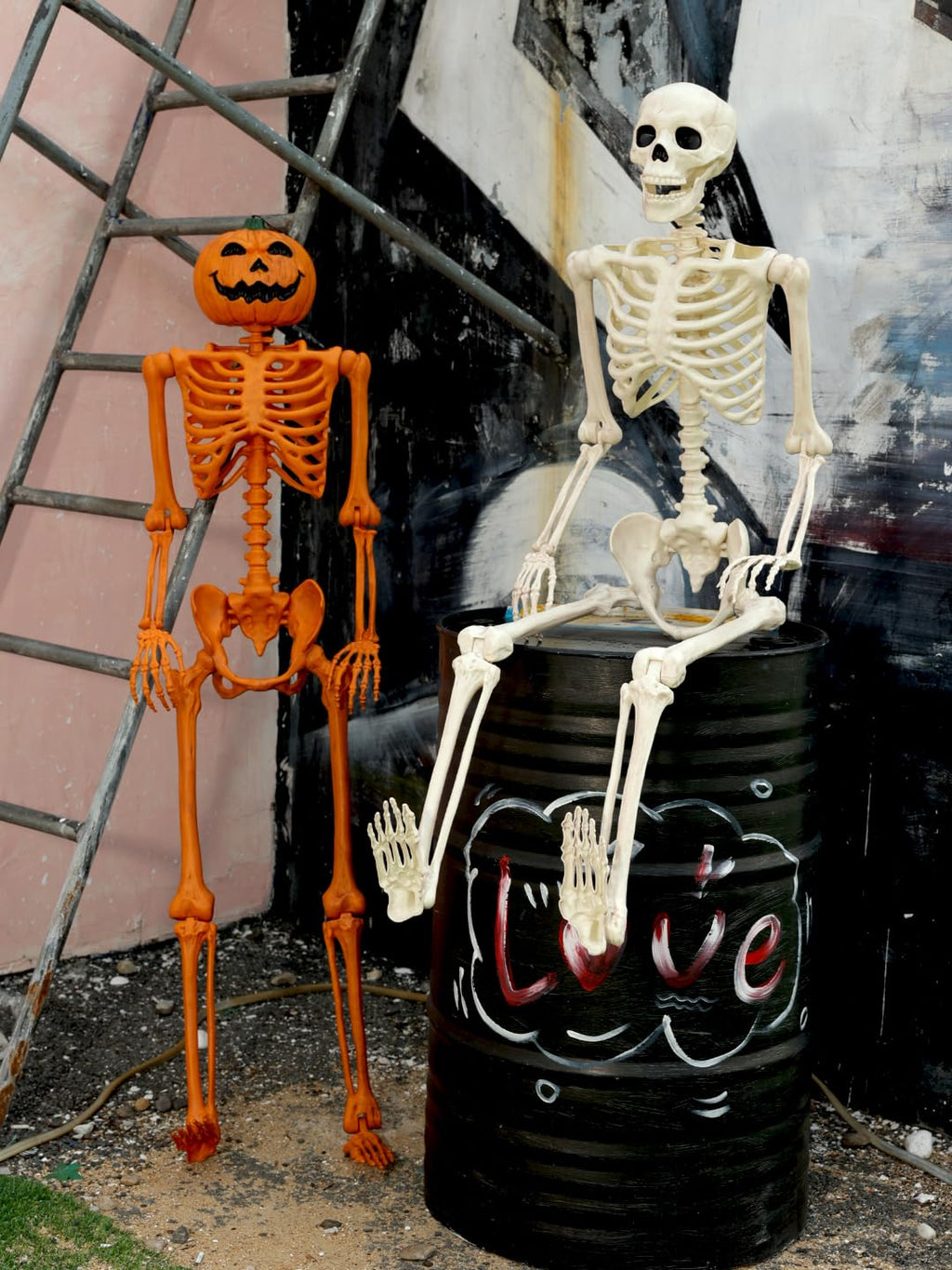 5FT Life Size Posable Skeleton Z1134