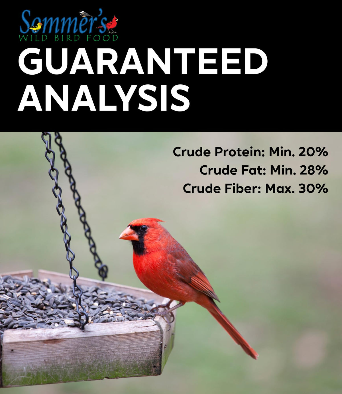 Bird Seed, 20 lb H545311