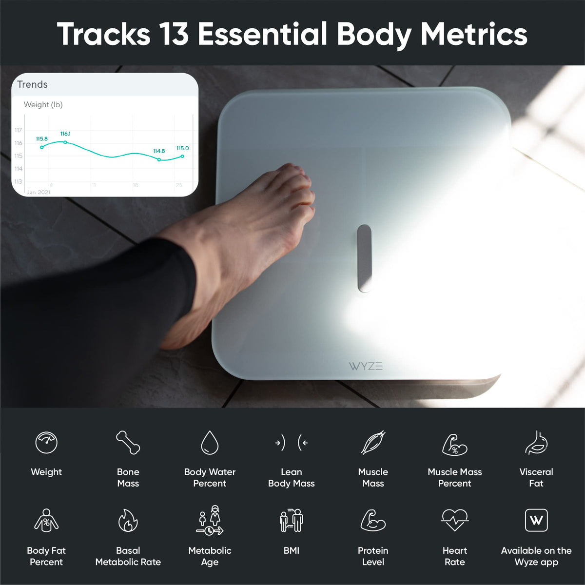 Smart Scale & Cordless Vacuum M61922