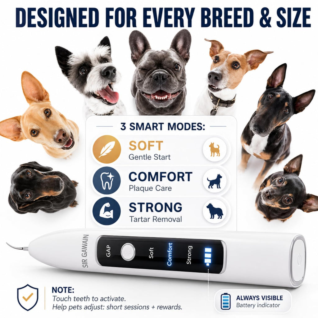 Ultrasonic Pet Dental Cleaner with 4 Tips and 3 Modes S9268