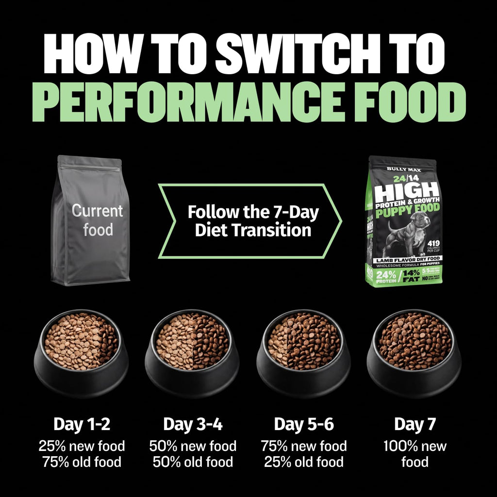 High Protein Lamb and Rice Dry Dog Food for Puppies, 5 lb Bag L108838