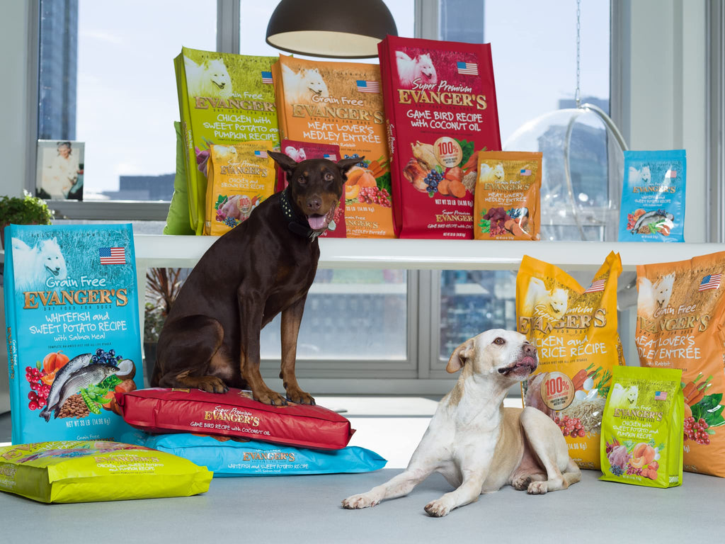 Grain-Free Chicken Sweet Potato Pumpkin Dry Dog Food 16.5 lbs Y318