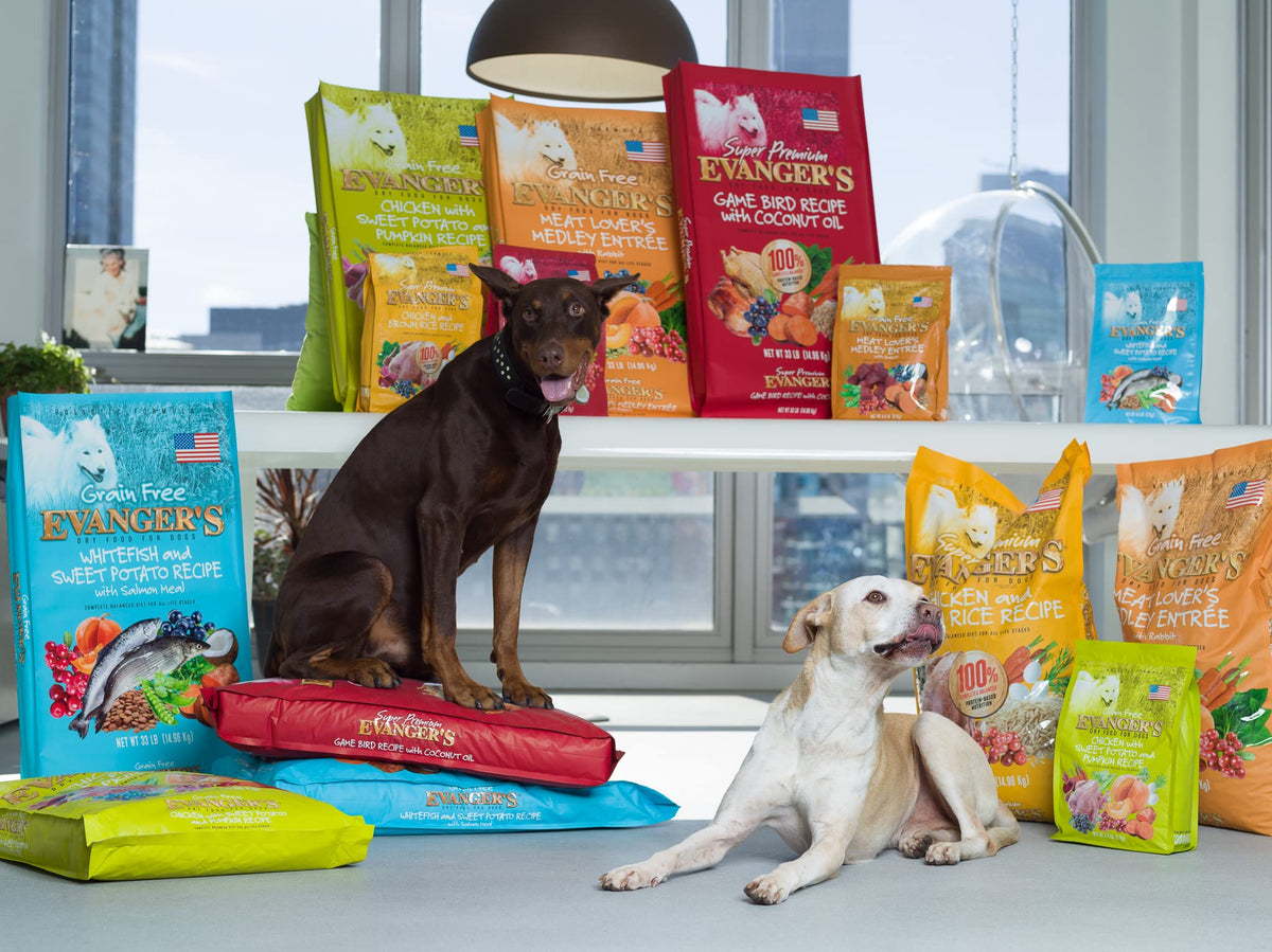 Grain-Free Chicken Sweet Potato Pumpkin Dry Dog Food 16.5 lbs Y318