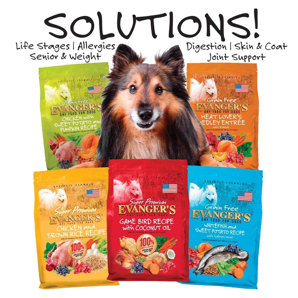 Grain-Free Chicken Sweet Potato Pumpkin Dry Dog Food 16.5 lbs Y318