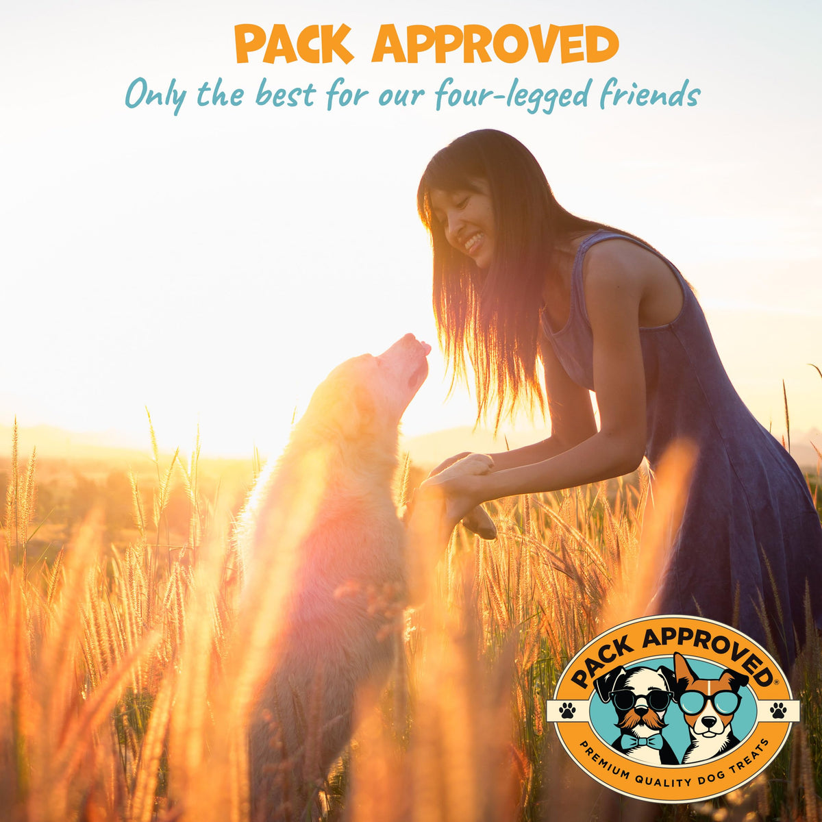 Peanut Butter Pill Wrap for Dogs 4.2oz I86760