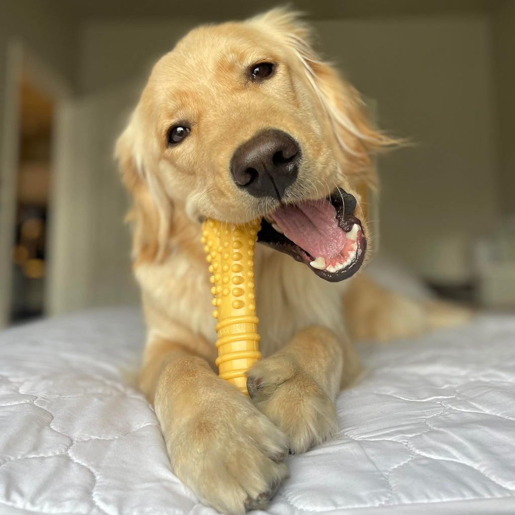 Dog Chew Toys, 3 Count, Large C864