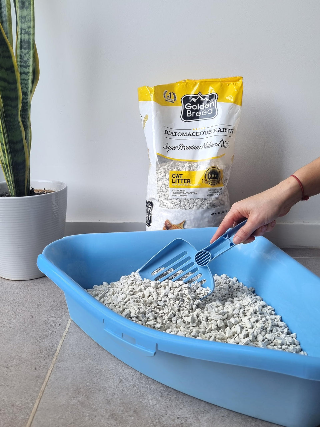 Lavender Scented Diatomaceous Earth 8.8 lb E710342