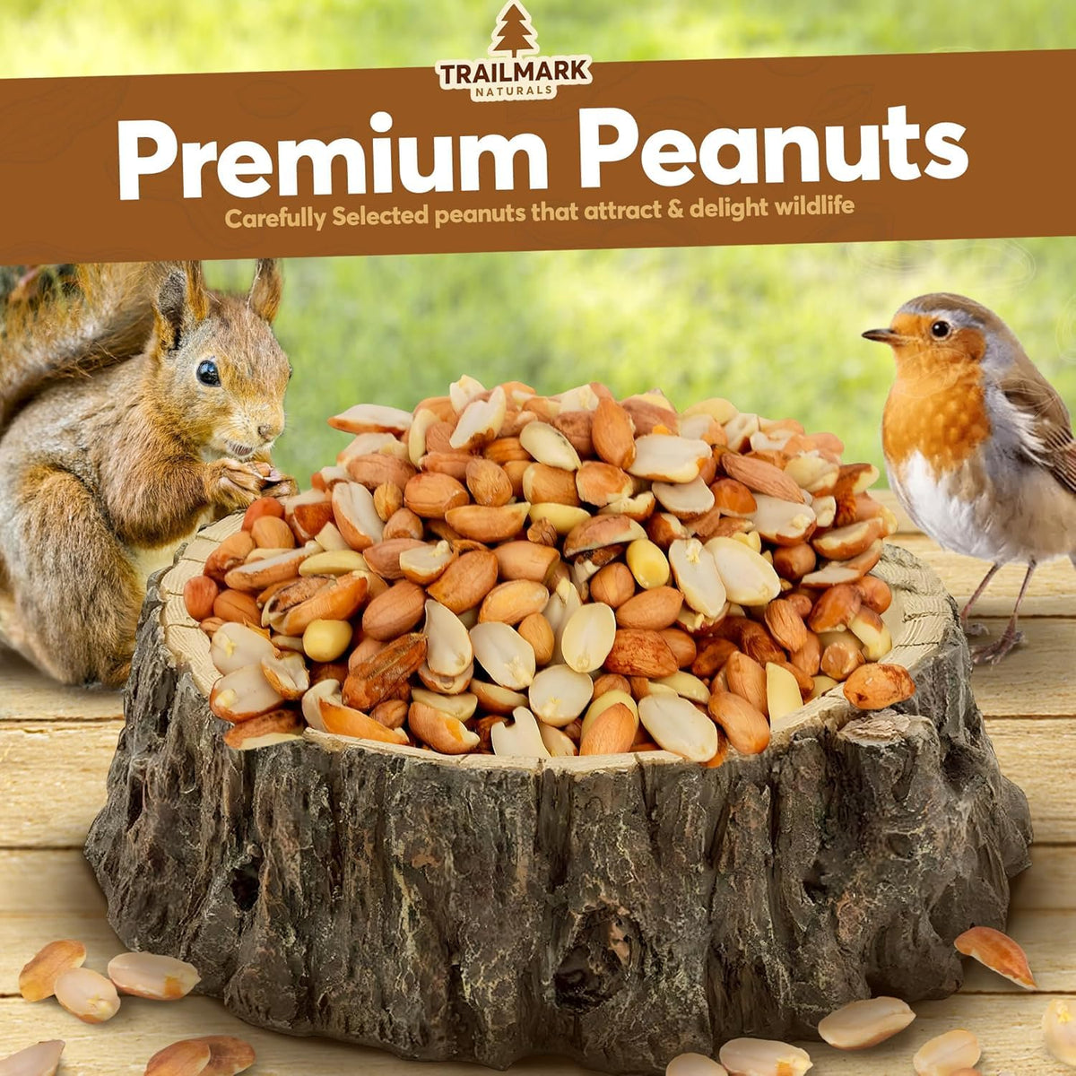 Raw Shelled Peanuts B499
