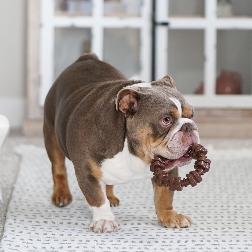 Dog Chew Toys, 3 Count, Large C864