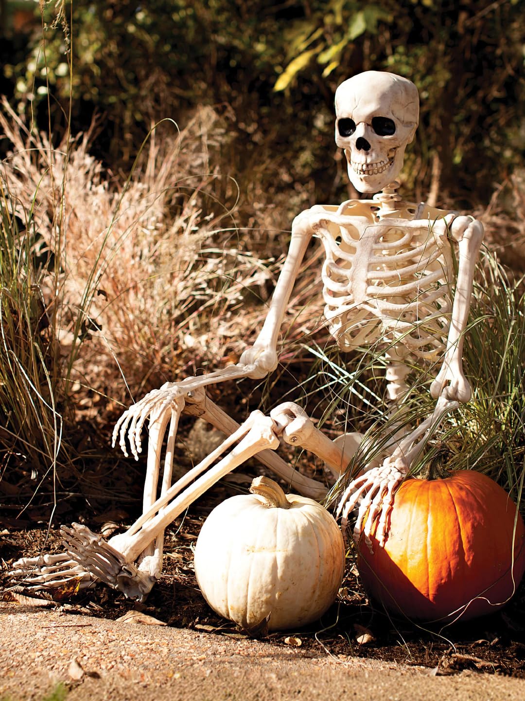 5FT Life Size Posable Skeleton Z1134