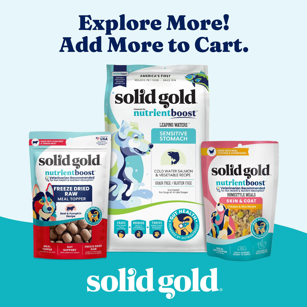 Solid Gold Beef Bone Broth for Dogs E6039
