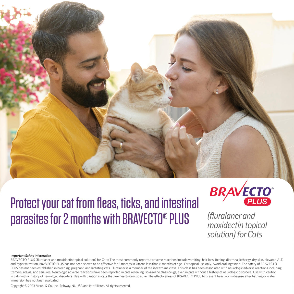 Flea Tick & Heartworm Topical Solution for Cats 2 Months Supply A4869